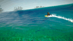 surfing, surf, video game